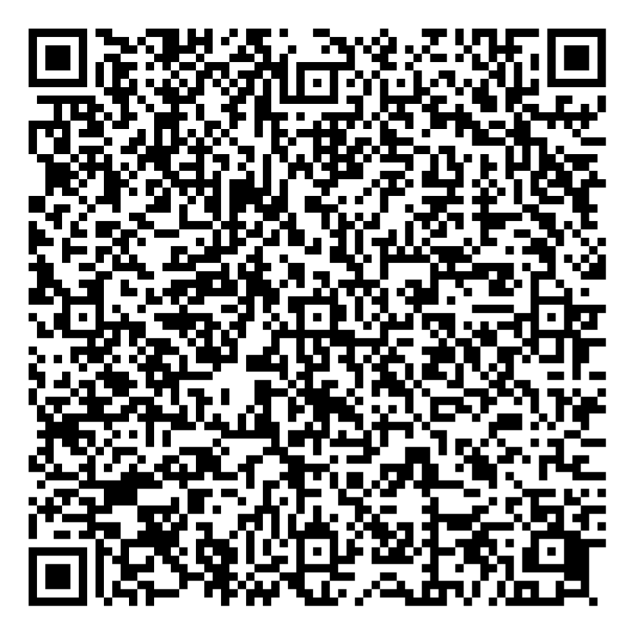 Paynet QR — Rustam Sadinov ИП